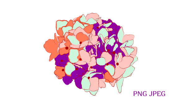Modern Hydrangea Procreate PNG Art
